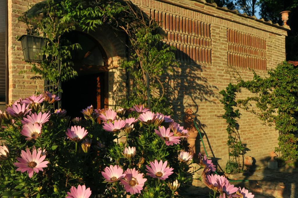 Relais Castelluccio Palusse Guest House Città della Pieve Екстериор снимка